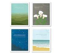 Compendium Positively Green - Paquete de 4 tarjetas de condolencias, diseños surtidos, 5.4 x 4.25 pulgadas