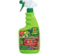 COMPO Fazilo Insecticida Efecto Máximo, Acción insecticida y acaricida, Plantas ornamentales, de interior y jardín, Envase pulverizador, 750 ml
