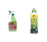 COMPO Insecticida Geranios, Específico para Mariposa de Geranio, 750 ml & Fertilizante de plantas verdes para plantas de interior, balcón y terraza