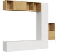 Composición de la pared del salón: H49, L.254, H.214, P.39,2