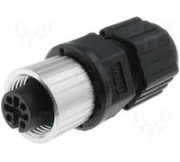 Conector m12 hembra 4 pin recto aereo