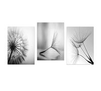 Conjunto de 3-Láminas de Arte Abstracto en Blanco y Negro Con Diseño de Diente de León Pared Póster de Estilo Nórdico Sala de Estar Pinturas Sobre Lienzo Decoración del Hogar-60*80cm (Sin marco)
