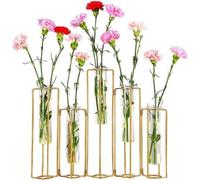 Conjunto de 5 recipientes para reactivos Unyqoos® – tipo jarra, con tubos de vidrio y estructura de metal dorado flexible, soporte para mesa, ideal para hidroponía, diámetro de 2,5 cm