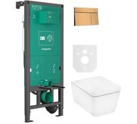 Conjunto taza de inodoro con asiento de cierre suave Hansgrohe EluPura Q 60293450, botón de descarga Hansgrohe Element E 66003140, 01022180