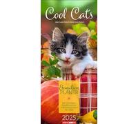 Cool Cats Agenda Familiar 2025: Calendario fotográfico grande con 5 columnas para familias. Bonito calendario de pared familiar 2025 con fotos de gatos lindos. 22 x 48 cm (calendario de animales