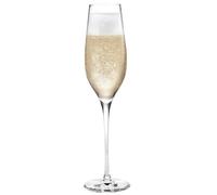 Copa de champán CABERNET, juego de 6 piezas, 290 ml, Holmegaard