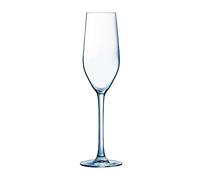 Copas de Mineral de copas de champán 160 ML 5,6 oz/160 ml. Paquete de: 24