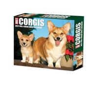 Corgis 2027 Box