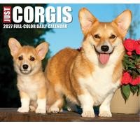 Willow Creek Press, Just Corgis - Calendario de caja 2027 de 5.4 x 6.2 pulgadas