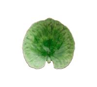 Costa Nova Plato/Fuente Riviera Alchemille Tomato. 18 cm