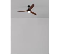 CREATE - Ventilador de techo 40W silencioso Ø132 cm 100% madera - Motor negro - M - con luz - WIND CUP Dark wood