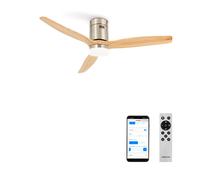 CREATE - Ventilador de Techo 40W Silencioso Ø132 cm - 6 velocidades, Función verano/invierno - Motor Níquel - WIND CALM