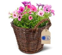 Creative Home Maceta de Mimbre Oscura con Asas y Lámina 30x30x30cm | (+/-2cm) | Cubierta para Maceta Decorativa Tejida a Mano Ovalada para Balcón | Macetero Cesta Natural para Flores Plantas