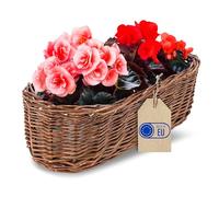 Creative Home Maceta de Mimbre Oscura con Lámina 35 x 11 x 11 cm | (+/- 2 cm) | Cubierta para Maceta Decorativa Tejida a Mano Ovalada para Balcón | Macetero Cesta Natural para Flores Plantas