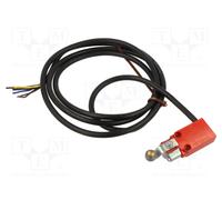 CROUZET Interruptor de fin de carrera NO + NC 10A 250VAC con palanca y cables