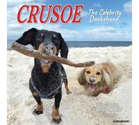 Crusoe the Celebrity Dachshund 2026 Wall Calendar