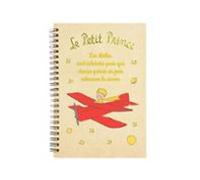Cuaderno anillas A5 El Principito avión relieve y brillo