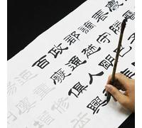 Cuaderno De Caligrafía China con Pincel, Cuaderno De Práctica, Papel De Arroz, para Adultos Principiantes, Escritura LIU Bingsen.