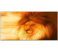 Cuadro decorativo de acrílico, 140 cm x 70 cm. Decoración para pared, ideal para el salón. Imagen impresa sobre cristal acrílico endurecido. Decoración para la cocina. Motivo: animal, gato, león