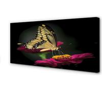 Cuadro decorativo para pared, 120x60 cm, con la imagen de una mariposa sobre una flor
