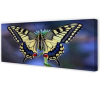 Cuadro decorativo para pared, 125x50 cm, arte mural con la imagen de una mariposa sobre una flor