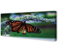 Cuadro decorativo para pared, 125x50 cm, arte mural con la imagen de una mariposa sobre una flor
