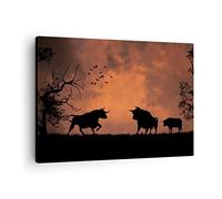 Cuadro sobre Lienzo 70x50cm Moderno Horizontal Naturaleza Animales - 0494