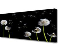 Cuadros decorativos en lienzo, 125x50 cm, impresión artística en lienzo, motivos de diente de león y plantas