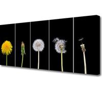 Cuadros decorativos para pared, impresión artística sobre lienzo, 125x50 cm. Motivo: diente de león, plantas