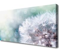 Cuadros decorativos para pared, lienzo, 100x50 cm, impresión artística, motivos de diente de león y plantas