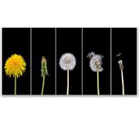 Cuadros decorativos para pared, lienzo, 120x60 cm, impresión artística, diente de león, plantas