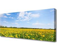Cuadros decorativos para pared, lienzo, 125x50 cm, impresión artística sobre lienzo, paisaje de un campo de diente de león