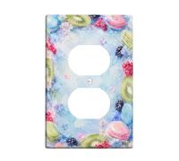 Cubiertas dúplex para tartas, placa de pared, diseño floral de kiwi, primavera, azul pastel, plástico, tamaño estándar, placas faciales para tomas de corriente para dormitorio, baño, cocina