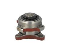 Cubo, ventilador de sistema de refrigeración de motor THERMOTEC D9VO003TT