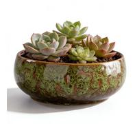 Cuenco de bonsái de loto, cuenco de flor de loto, maceta de cerámica de loto 16,5 x 6,5 cm, maceta hidropónica de cerámica, maceta suculenta para plantas hidropónicas suculentas, plantas hidropónicas