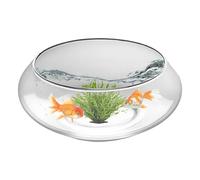 Cuenco de para Peces - Maceta de Narciso Poco Profunda, y Ancho para el hogar, Peces, Interiores, bonsái, Flores, suculentas, decoración de Boda