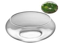 Cuenco de vidrio para plantas, maceta de narcisos poco profunda, jarrón hidropónico transparente para el hogar, interior, flores, bonsái, suculentas, centros de mesa, decoración