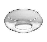 Cuenco de vidrio para plantas, maceta grande para suculentas, cuenco decorativo ancho poco profundo para centros de mesa del hogar, suculentas, bonsái, decoración de boda