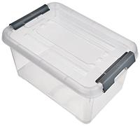 Curver Caja de almacenamiento Handy Plus con tapa de 6 litros en color transparente y plateado, 24 x 16 x 14 cm