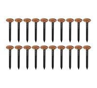 cyclingcolors 20x clavos de acero con cabeza de cobre para fijación de cuadros decorativos pintura fotografía renovación puntas puntillas, 2x30mm