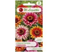 Cynia elegante Caroussel - mezcla de flores bicolores