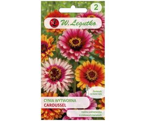 Cynia elegante Caroussel - mezcla de flores bicolores