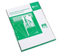 D.RECT Fundas A4 100 Unidades - Fundas para Documentos Transparentes con Multitaladro 55 Micras - Bolsillos Polipropileno - Embalaje de Cartón