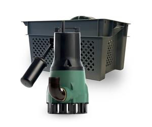 DAB Feka 600 M-A con caja y manguera de drenaje de 7 metros medium Verde / Negro / Acero inoxidable