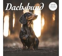 Dachshund - Calendario de lujo 2025