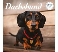 Dachshund - Calendario de lujo 2027