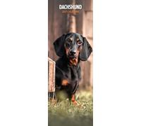 Dachshund - Calendario delgado 2027