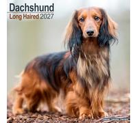Dachshund Longhaired SS Wall