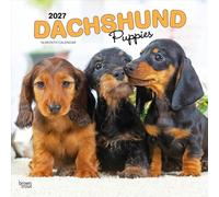 Dachshund Puppies 2027 12 X 24 Inch (Hanging) Monthly Square Wall Calendar Plastic-Free: Original BrownTrout-Kalender [Mehrsprachig] [Kalender]