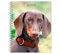 Dachshunds 2027 6 X 7.75 Inch Spiral-Bound Wire-O Weekly Engagement Planner Calendar New Full-Color Image Every Week